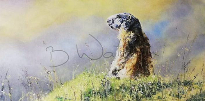 Marmotte - 100x50cm - N°281